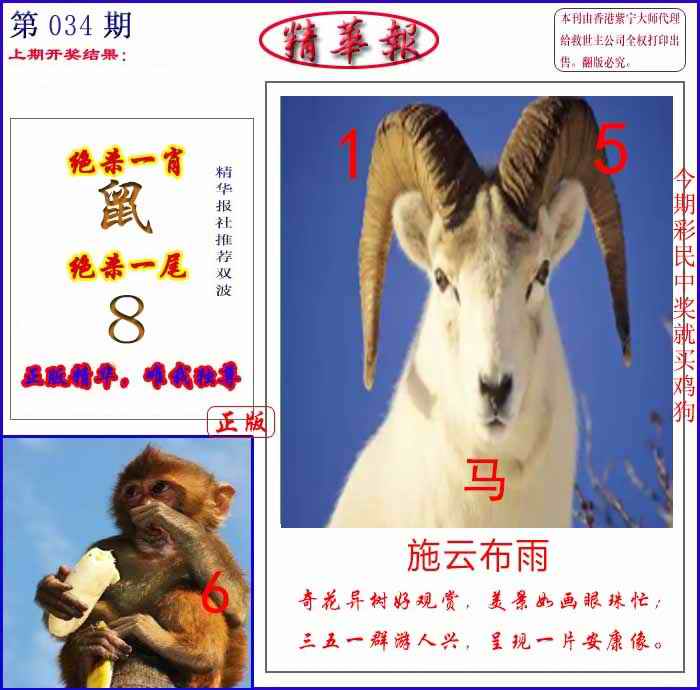 034期新精华报报[图]