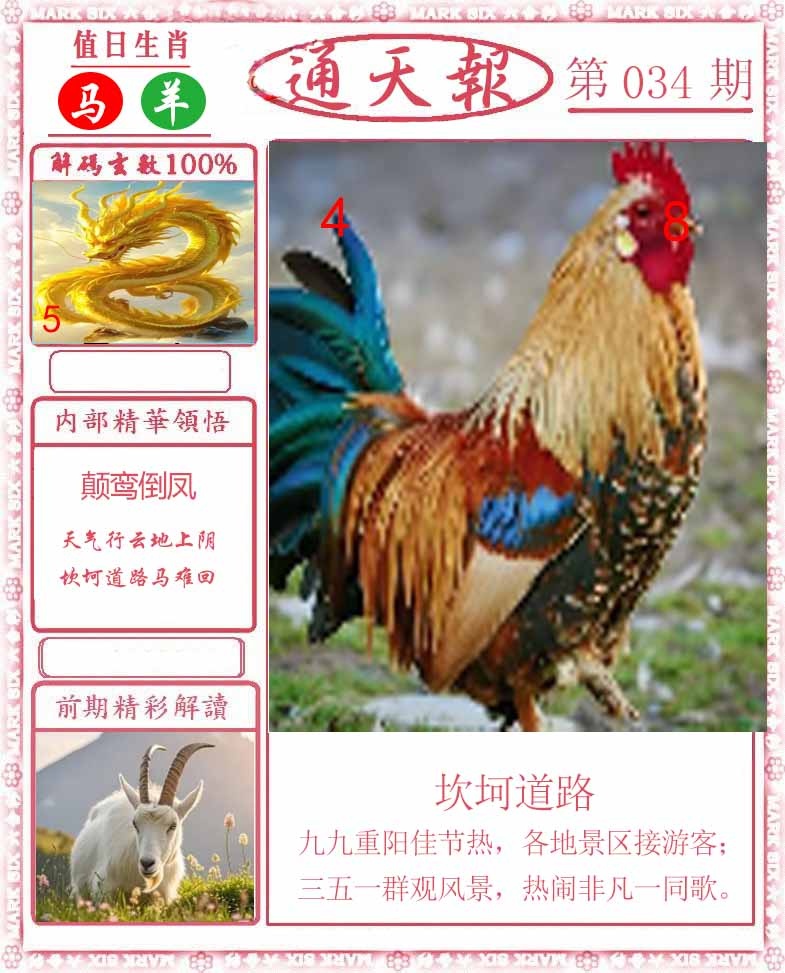 034期正版通天报[图]