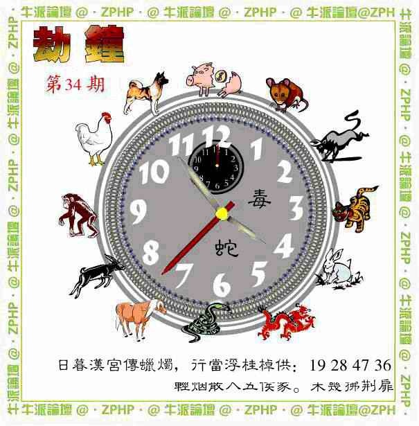 034期牛派单双报[图]